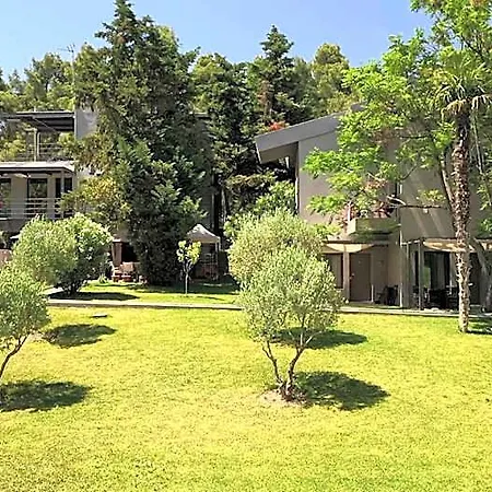 Hotel Sani & Sani Woods